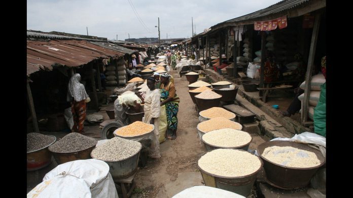 Crash of Maize and Sorghum Prices