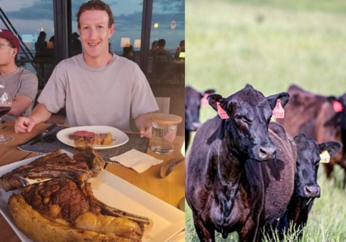 Mark Zuckerberg