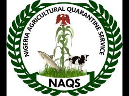 NAQS to tackle food smuggling and hoarding with border security