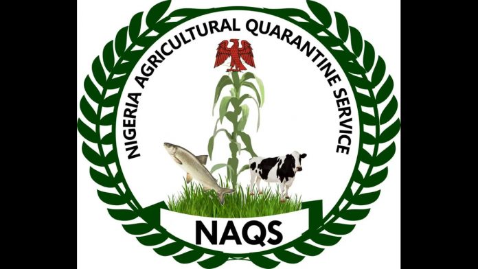 NAQS to tackle food smuggling and hoarding with border security