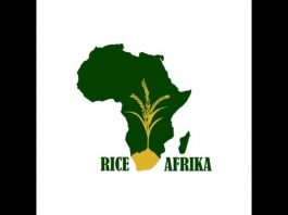 RiceAfrika Partners with Somaliland Government