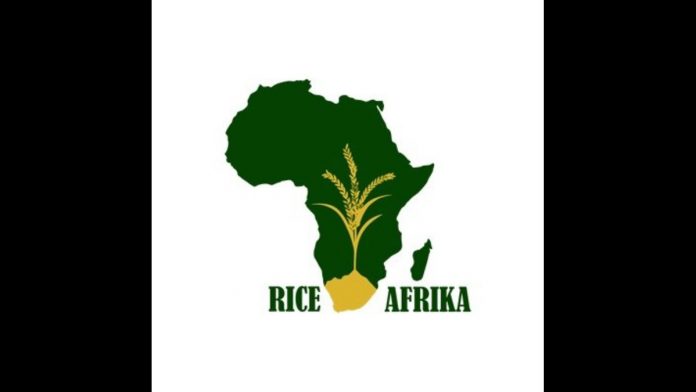 RiceAfrika Partners with Somaliland Government