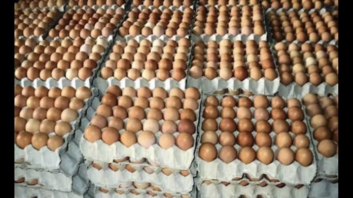 Edo State poultry partnership
