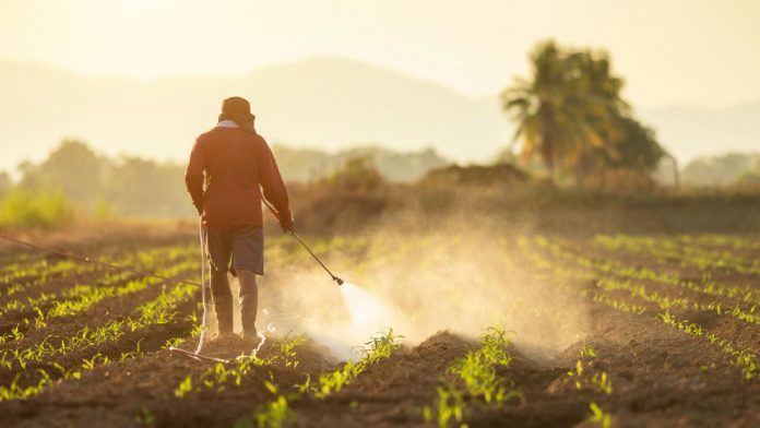 US Court Nullifies Approvals For Popular Dicamba Weedkillers
