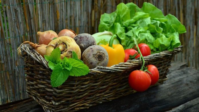 FAO Invests $499,000 In Liberian Smallholder Vegetable Production