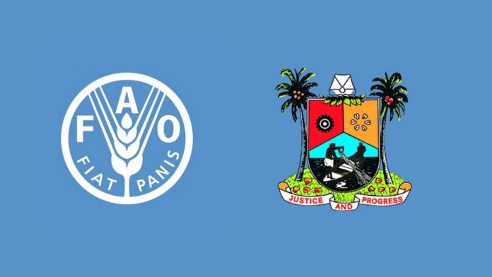 FAO Pledges Support To Lagos State In Achieving Food Security