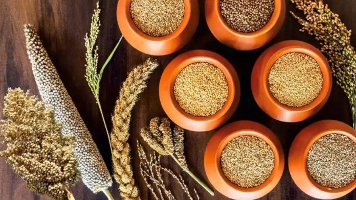 Food Prices Drop By 1% In January 2024, Global Cereal Production Hits Record In 2023