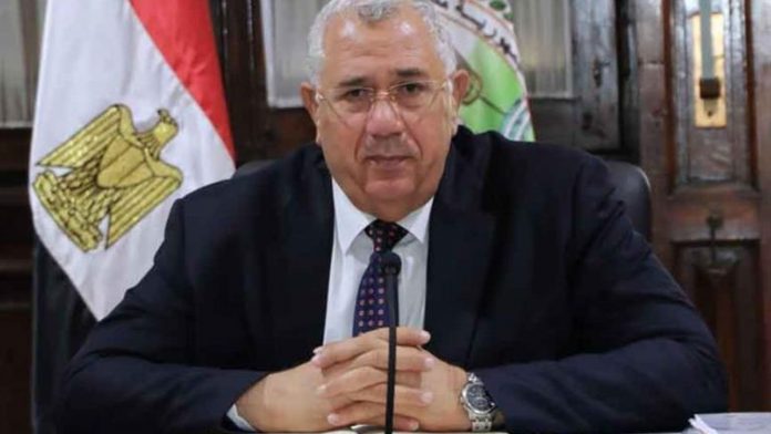 Egypt Agricultural Exports Soar To $9b In 2023 As Japan Expansion Pays