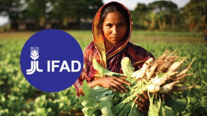 IFAD Begins Accepting Proposals For $1.5m Rural Monitoring And Evaluation Program