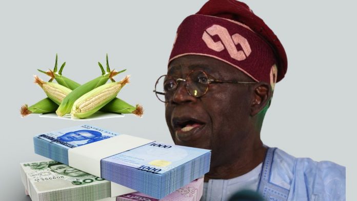 Subsidies: Tinubu Band-Aid Solution To Nigeria $200 Billion Agricultural Financing Gap