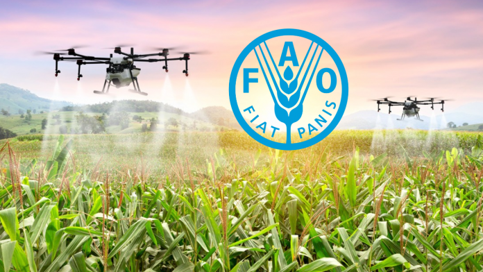 FAO Announce $10,000 2024 Innovation Award, See How To Apply