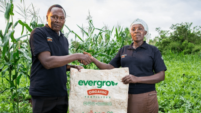 EverGrow's Q1 2024 strategy: Global fertilizer leader expands, empowering local farmers for sustainable agriculture.