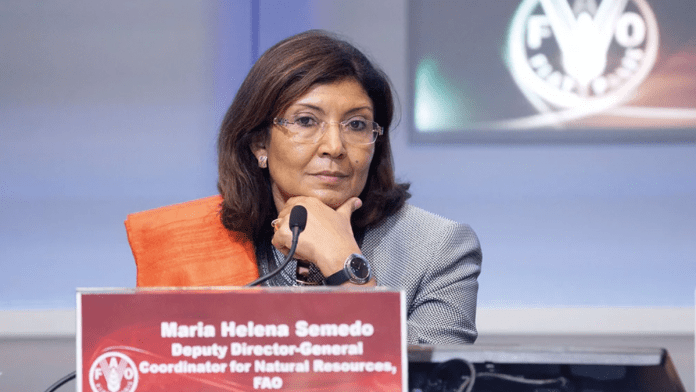 FAO Deputy Director-General Maria Helena Semedo