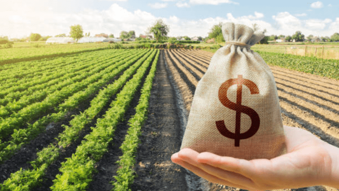 Canadian Canola Growers Association Opens 2024 Cash Advance Applications