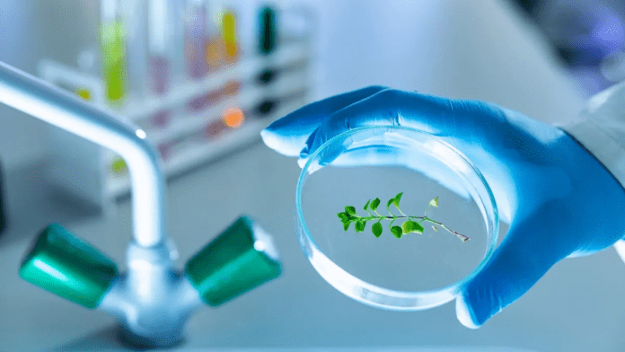 scientists create plant gene editing tool