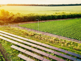 Solar Energy, USDA, REAP