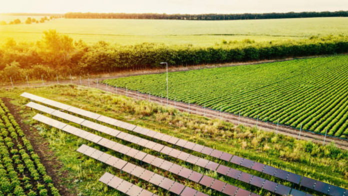 Solar Energy, USDA, REAP