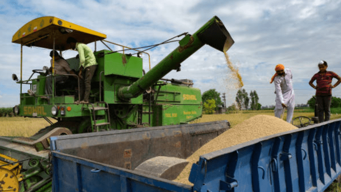 India's rice exports