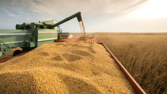 Soybeans