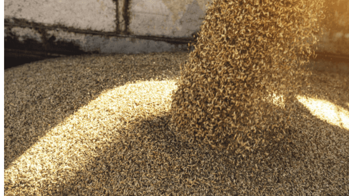 Ukraine Grain