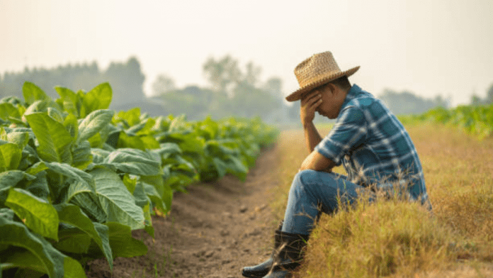 challenges in food security