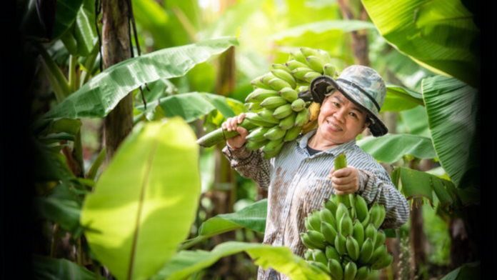 World Banana Forum