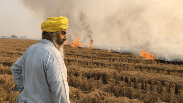 Burning stubble