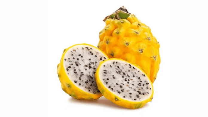 Ecuador's pitahaya exports