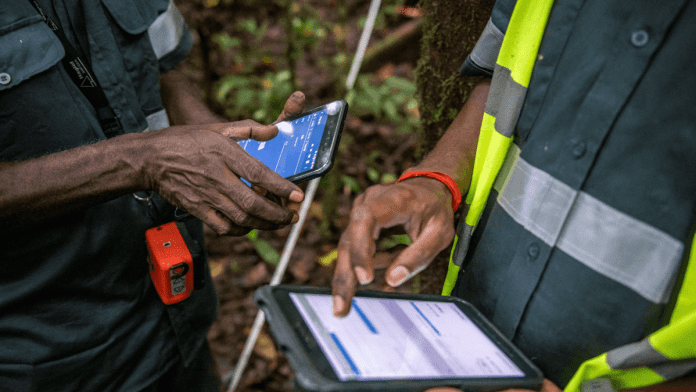 forest monitoring