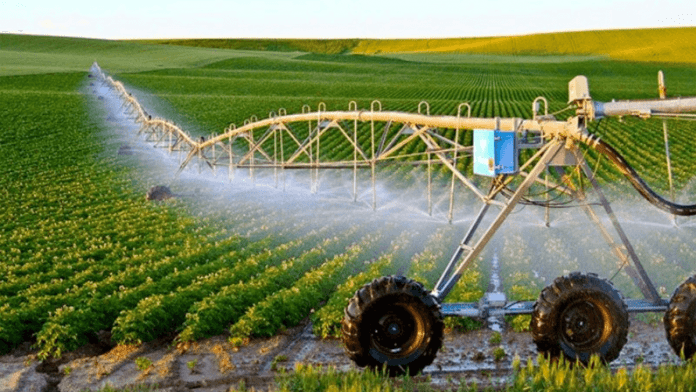 FOCAC Summit: China-Africa Strengthen Agricultural Ties