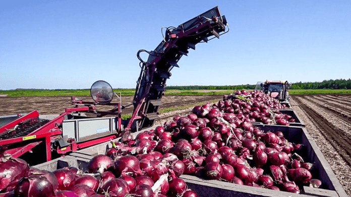 Kazakhstan Onion Crisis