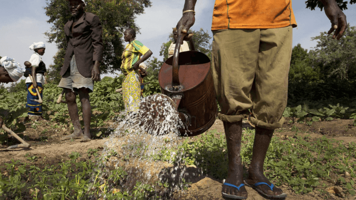 Sahel Agriculture
