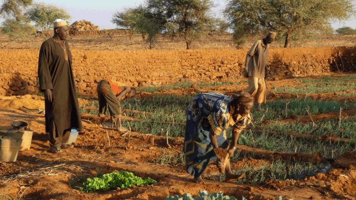 Nigeria Farmers Fear Food Shortages Due to Insecurity