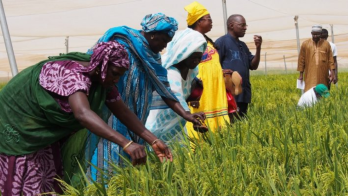 women farmers