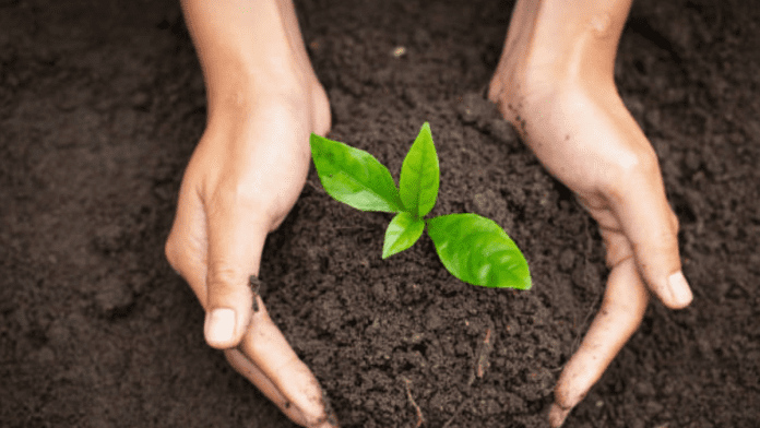 Soil Health