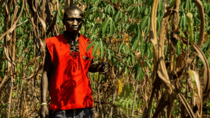 Sudanese Farmer