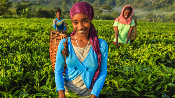 Women Farmers