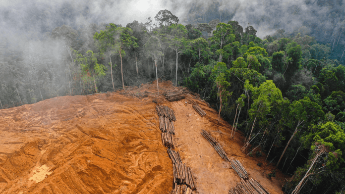 anti-deforestation rules