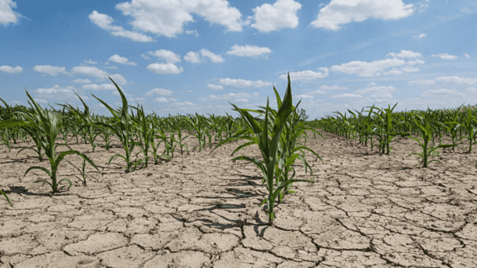 drought in Catalonia