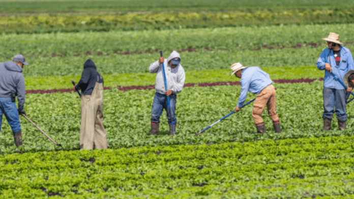 labor shortages