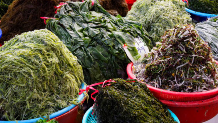seaweed market