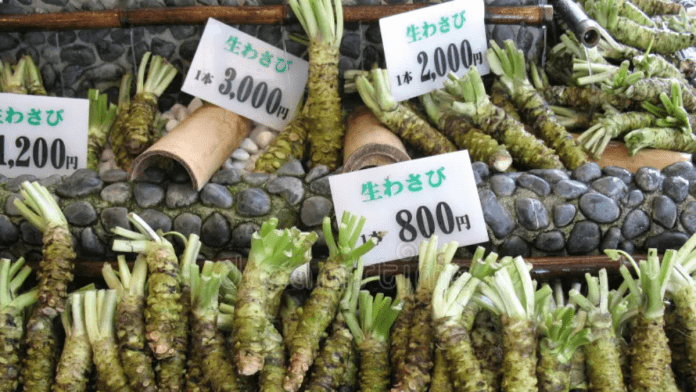 wasabi exports