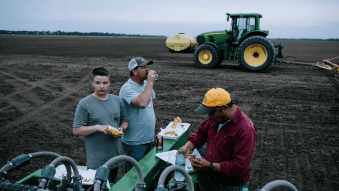 net farm income