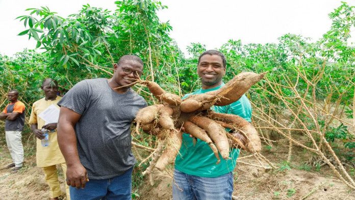 Kogi Cassava Farmers