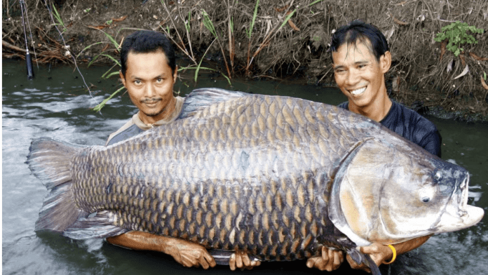 Mekong River