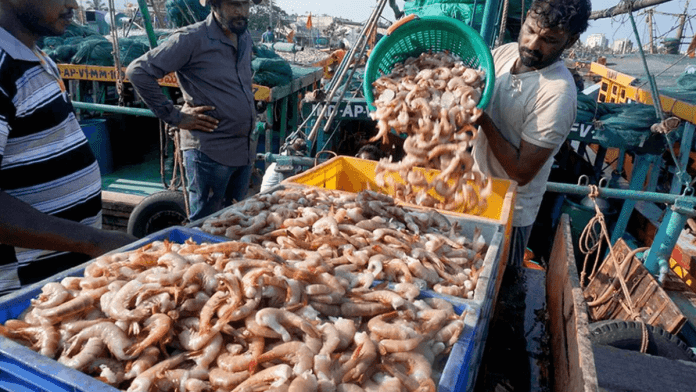 seafood exports