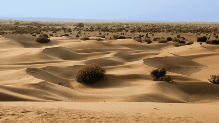 Thar Desert