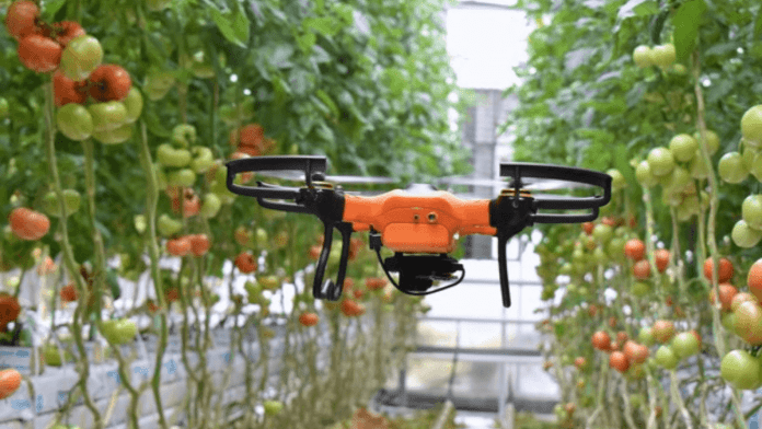 drones for pollination
