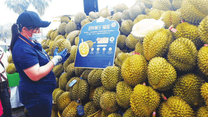 Vietnam durian prices