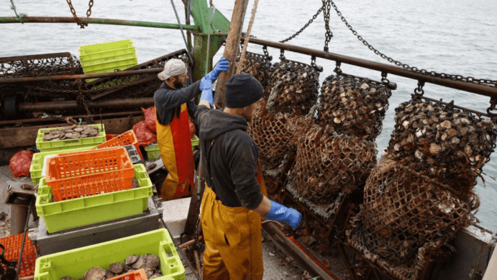 bottom trawling